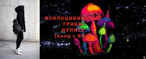 спиды Арсеньев