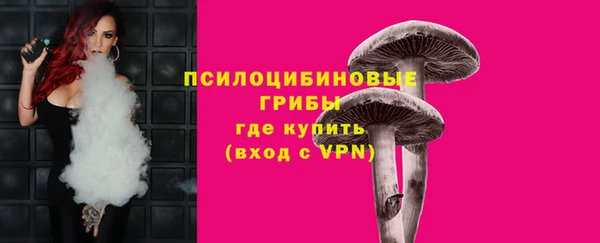 ГАЛЛЮЦИНОГЕННЫЕ ГРИБЫ Армянск
