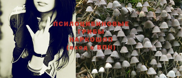прущая мука Аркадак