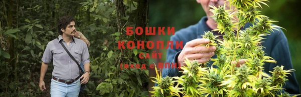 ГАЛЛЮЦИНОГЕННЫЕ ГРИБЫ Армянск