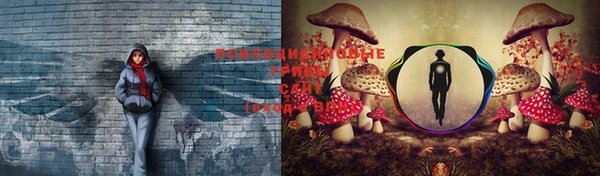 прущая мука Аркадак
